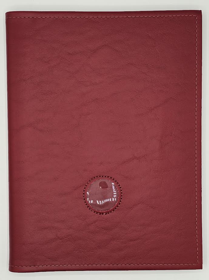AA Plain Language Cover