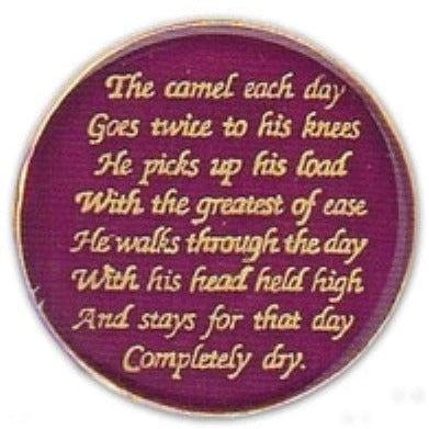 Serenity Medallion-Sober Camel ODAAT